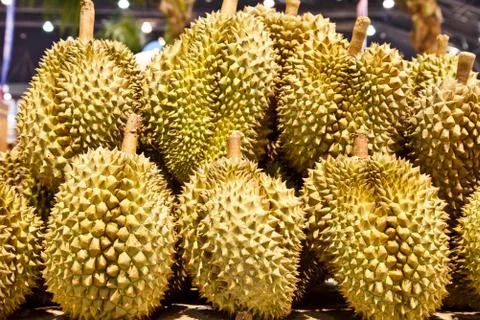 Durian Stock Photos
