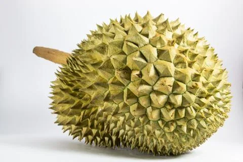 Durian Stock Photos