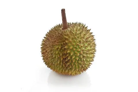 Durian Stock Photos