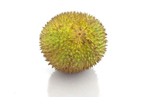 Durian Stock Photos