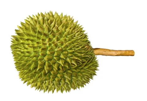 Durian Stock Photos