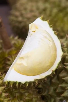 Durian Stock Photos