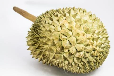 Durian Stock Photos