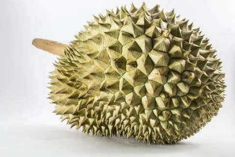 Durian Stock Photos
