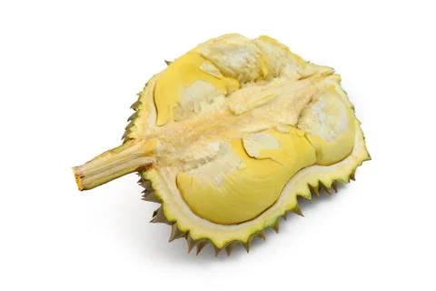 Durian Foto stock