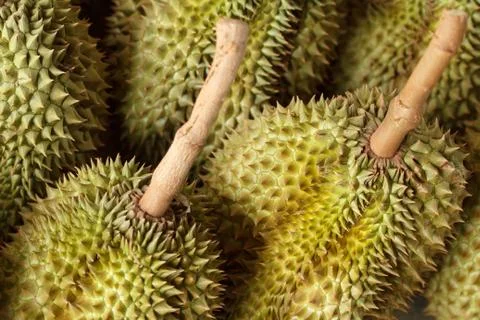 Durian Stock Photos