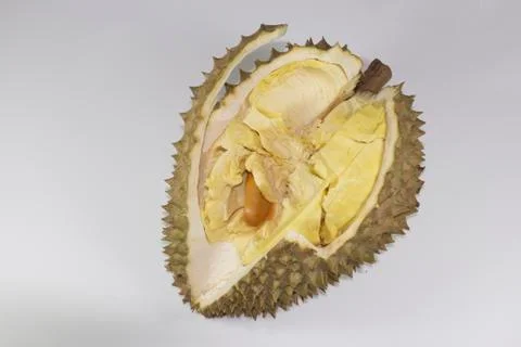 Durian Foto stock