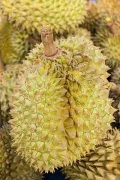 Durian Stock Photos