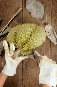 Durian Stock Photos