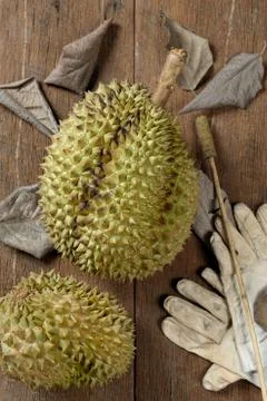 Durian Stock Photos