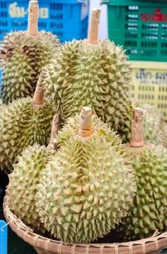 Durian Stock Photos