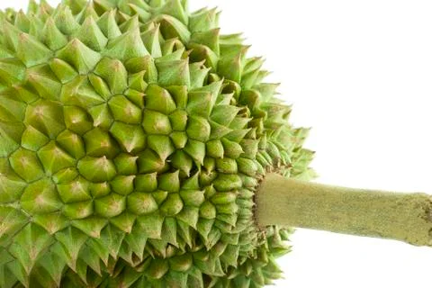 Durian Stock Photos