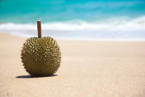 Durian Stock Photos