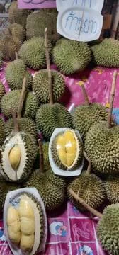 Durian 库存照片