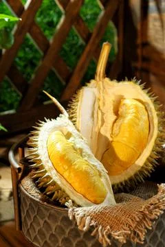 Durian Foto stock