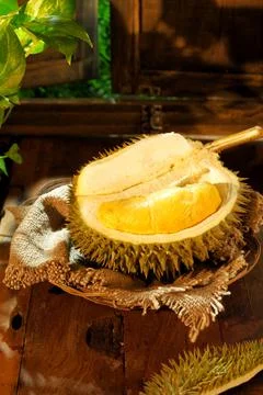 Durian Foto stock