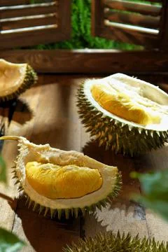 Durian Foto stock