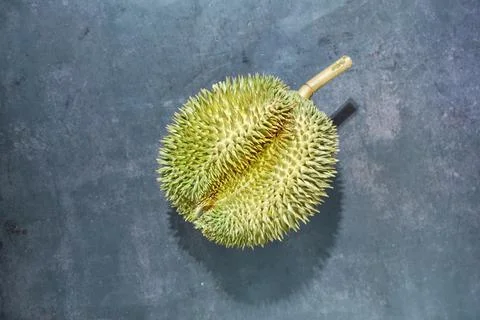 Durian Foto stock