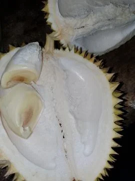 Durian 库存照片