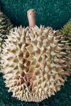 Durian Stock Photos