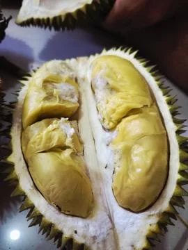 Durian Stock Photos