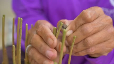 Durian seedling cutting procese Stock Footage 179886457