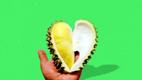 Durian Set on green background. Stock Footage 145517239