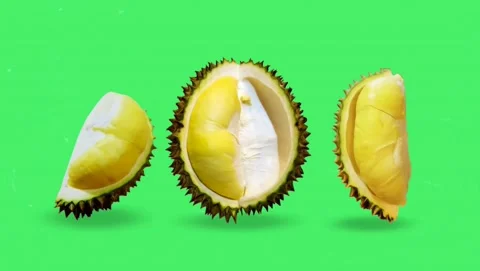 Durian Set on green background Stock Footage 145517254