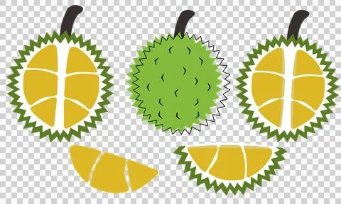 Durian set Ilustração Stock