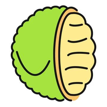 Durian tropical fruit icon vector illustration design Stock Illustration