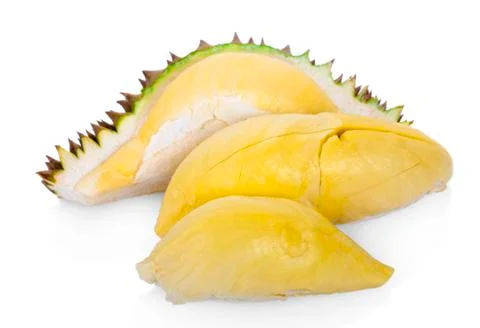 Durian on white background.. Stock Photos