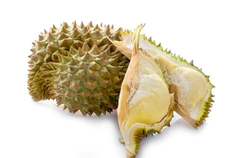 Durian on white background. Stock Photos