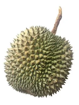 Durian on the white background. Stockfoto's