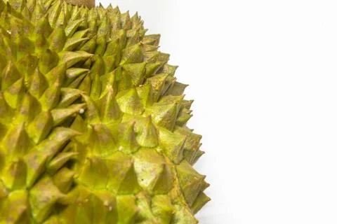 Durian on white Foto stock