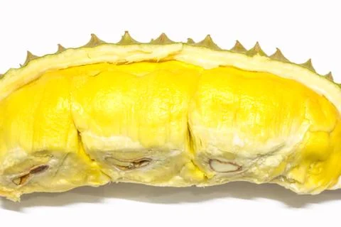 Durian on white Stock Photos