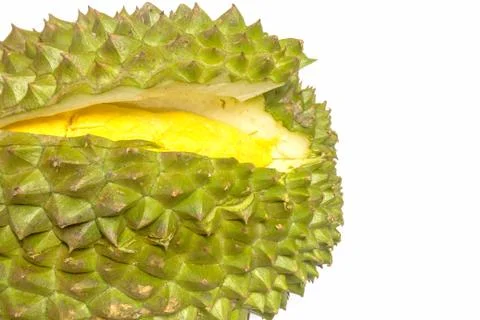 Durian on white Stock Photos
