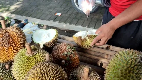 Durians Stock Footage 232983499