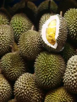 Durians Fotos de archivo