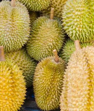 Durians Foto stock