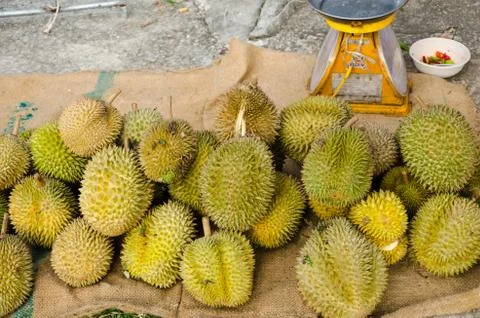 Durians Stock Photos