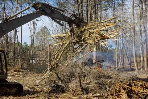 During construction of a new house complex, the uprooted forest was burned for 스톡 사진