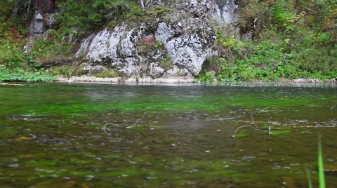 During the creek Stock Footage 48816248