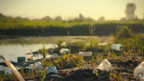 During an evening conservation effort an environmental activist diligently s Stock Footage 331461155
