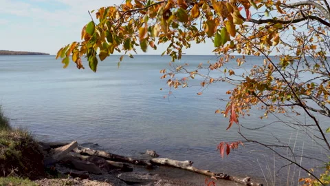 During the fall Stock Footage 141207398