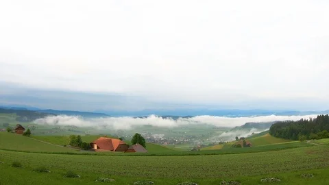 During the spring, cool weather and fresh  Stock-Footage 91393949