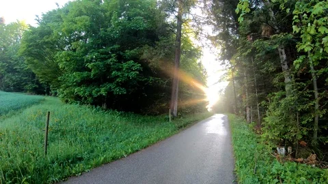 During the spring, cool weather and fresh  Stock Footage 91406505