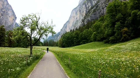 During the spring, cool weather and fresh  Video stock 91465288