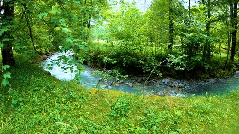 During the spring, cool weather and fresh  Stock-Footage 91468252