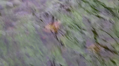 During the waters of the river Stock Footage 48815271