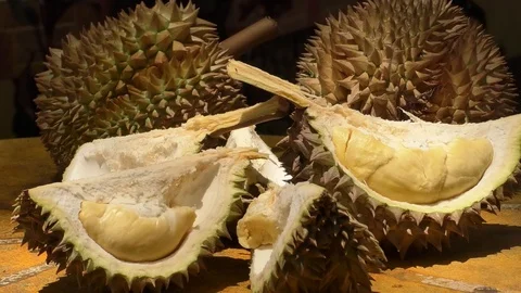 Durio Stock Footage 112435030
